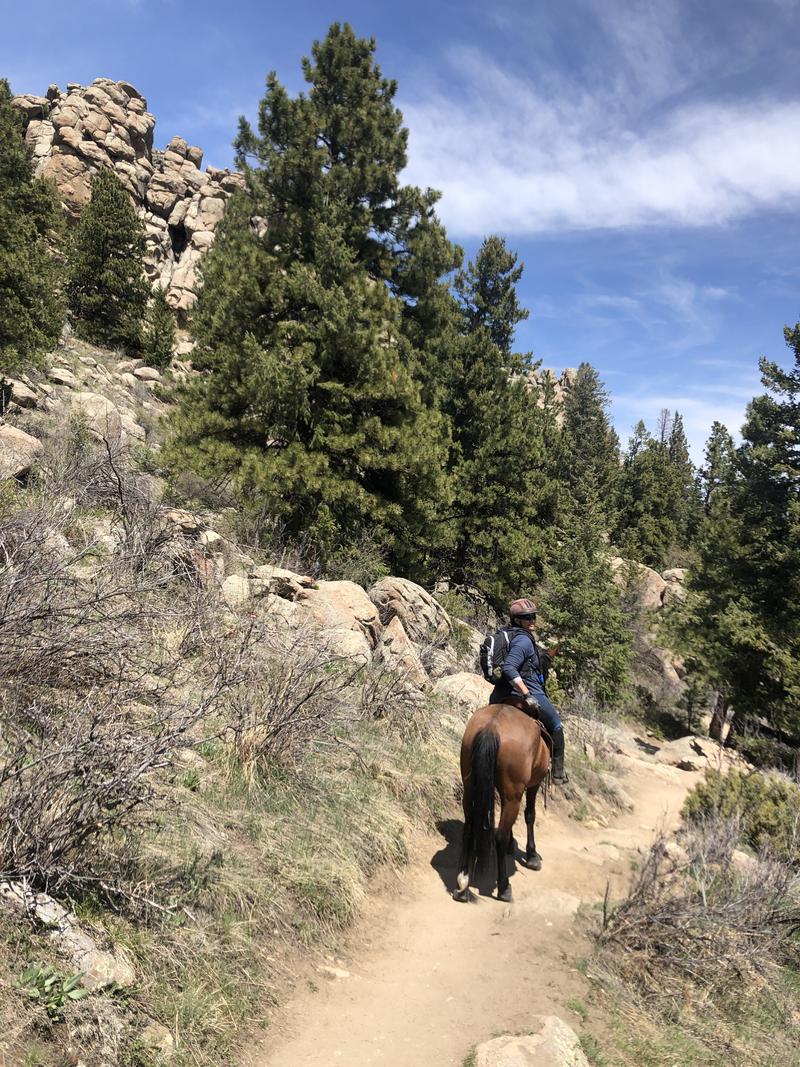 Alderfer Three Sisters Trail – 10 Best Hikes and Trails in Alderfer ...