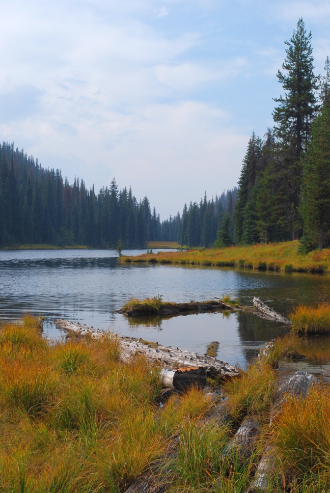 Elk Summit Campground in Idaho | Top Horse Trails