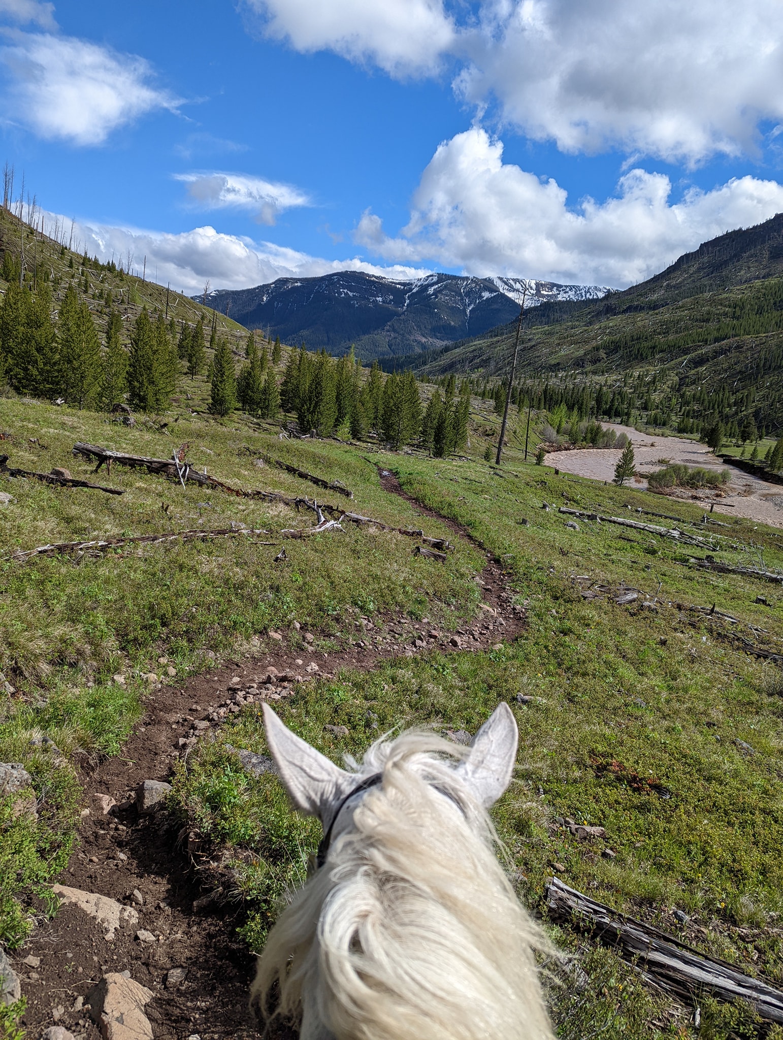 Pahaska Trailhead Horse Camp in Wyoming | Top Horse Trails