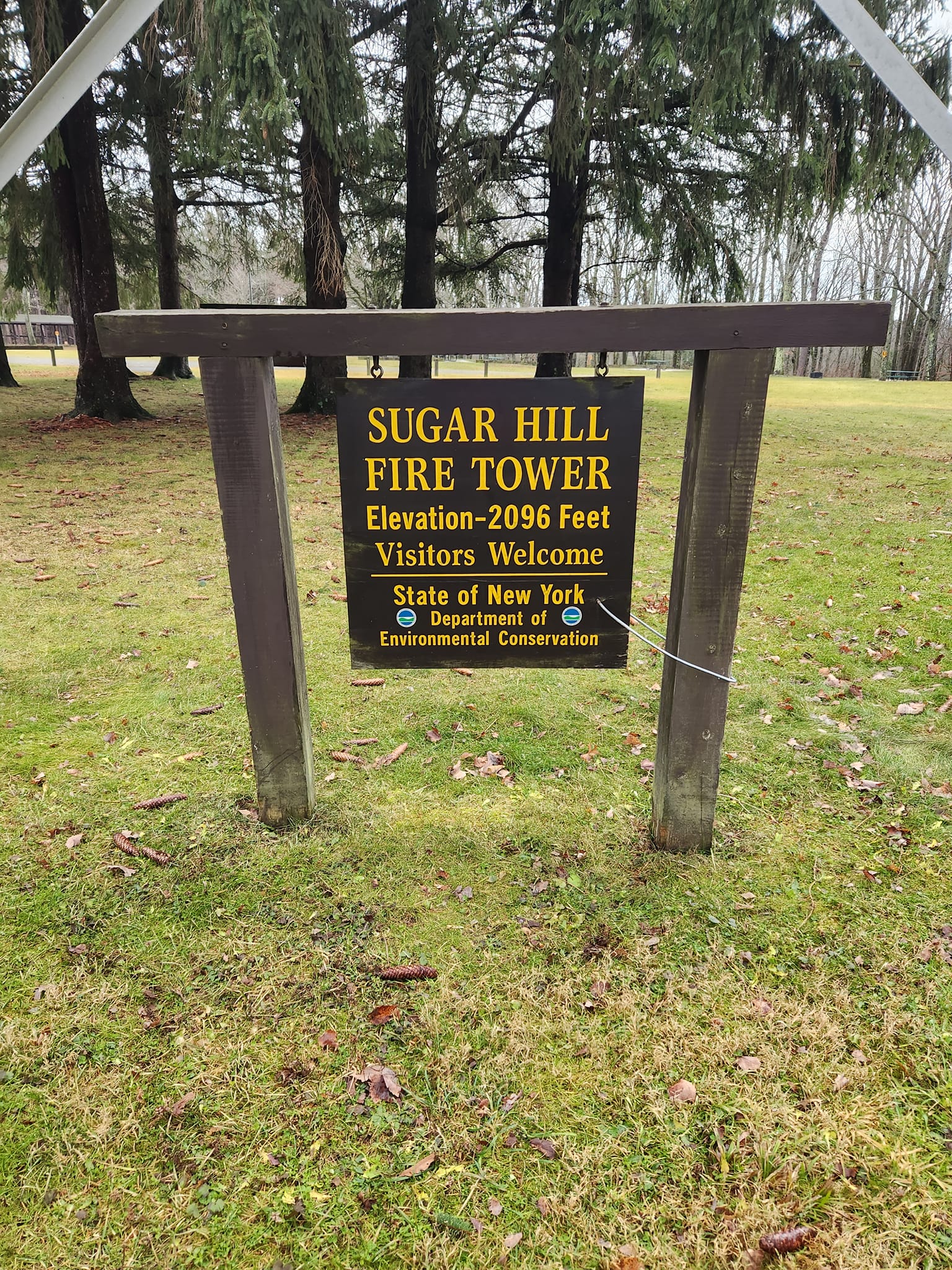 Sugar Hill State Forest Horse Campsite in New York | Top Horse Trails