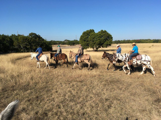 Parrie Haynes Equestrian Center in Texas | Top Horse Trails