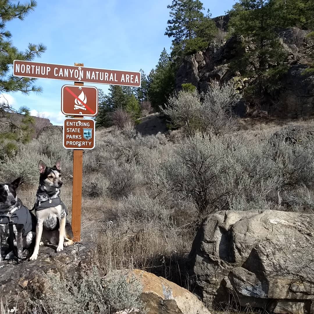 Steamboat Rock State Park - Northrup Canyon  Top Horse Trails