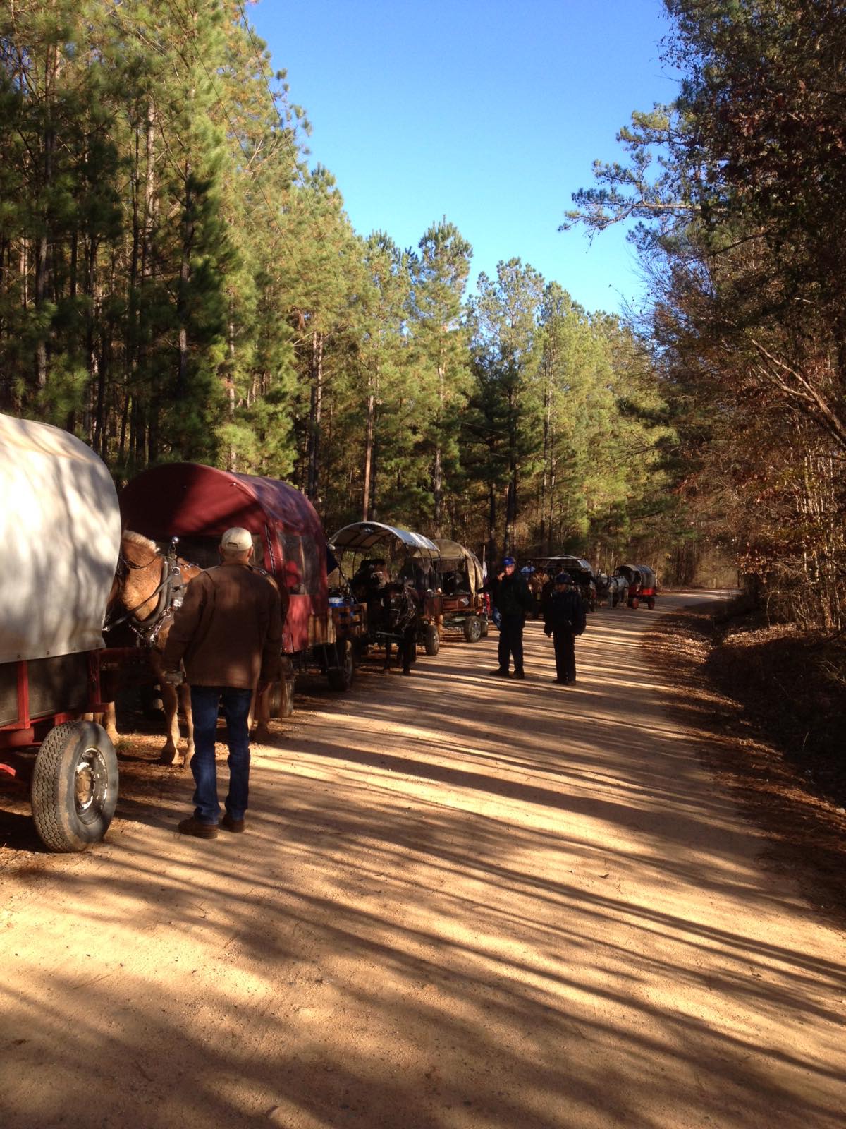 Randy's Horse Camp In Georgia | Top Horse Trails