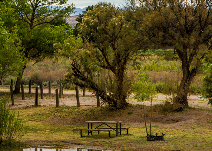 Caballo Lake State Park in New Mexico | Top Horse Trails