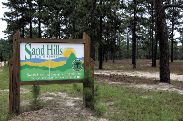 Sand Hills State Forest Horse Campsite in South Carolina | Top Horse Trails