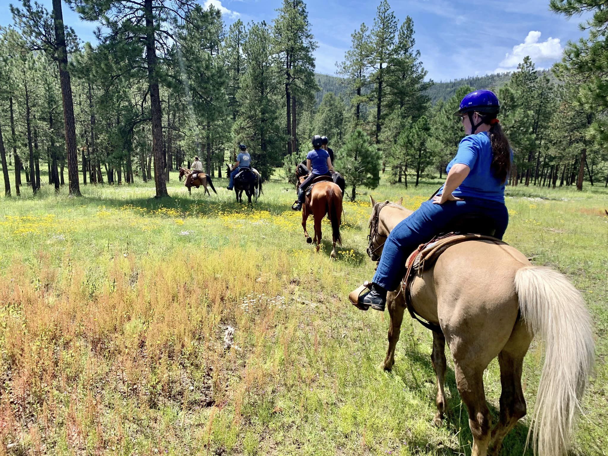 Discover the Enchanting Aspen Lodge in Alpine, Arizona | Top Horse Trails