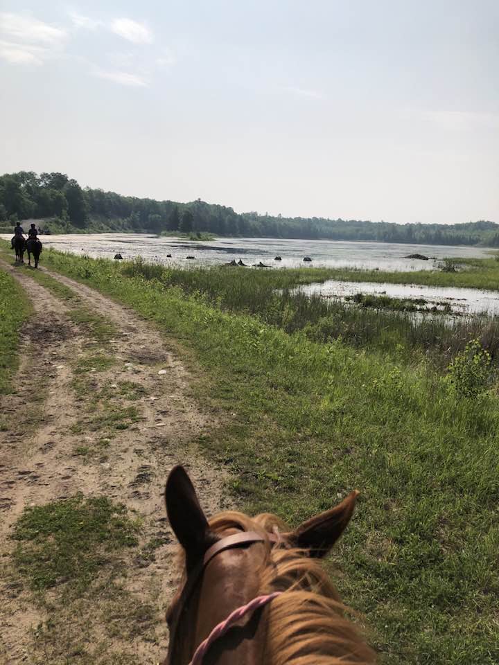 Stoney Creek Trail Camp in Michigan | Top Horse Trails