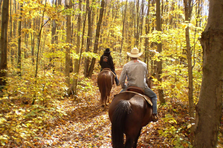 Mack’s Pines Recreation Area in Arizona | Top Horse Trails