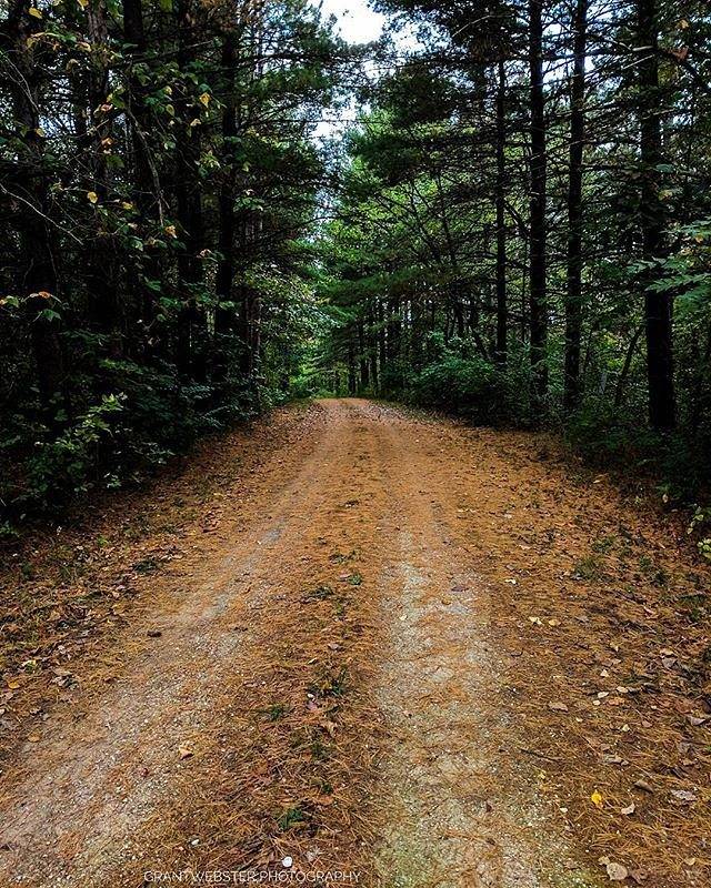 Stephens State Forest Horse Camp in Iowa | Top Horse Trails