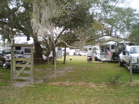 McCulley Farms in Florida | Top Horse Trails