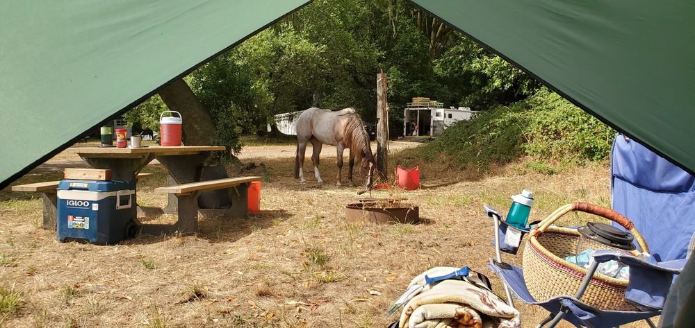 Five Brooks Horse Camp: Forest, Mountain, and Beach Riding