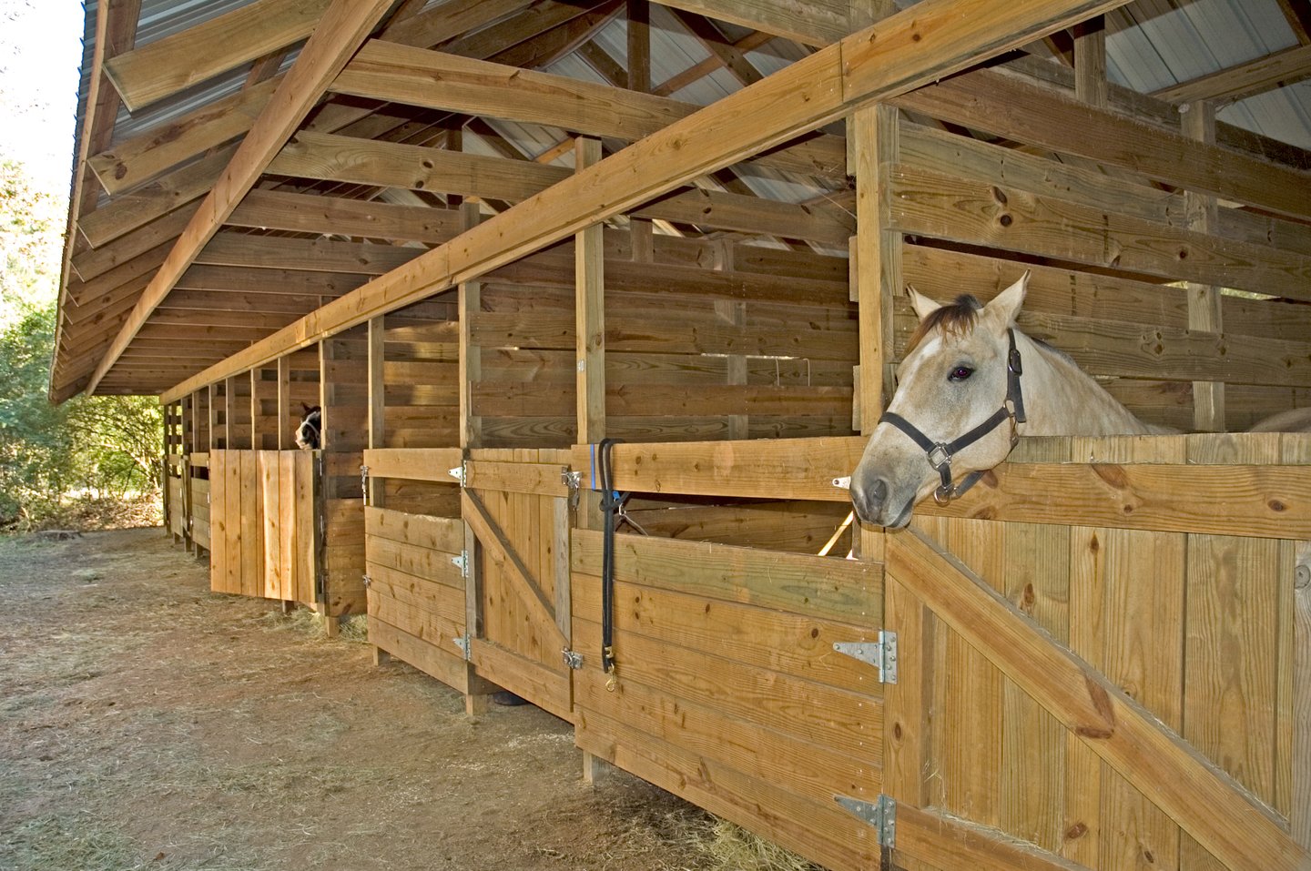 Watson Mill Bridge Campground in Georgia | Top Horse Trails