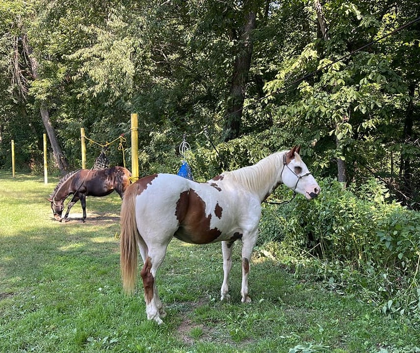 Morrison-Rockwood State Park in Illinois | Top Horse Trails