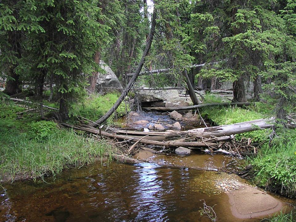 Scab Creek Campground in Wyoming | Top Horse Trails