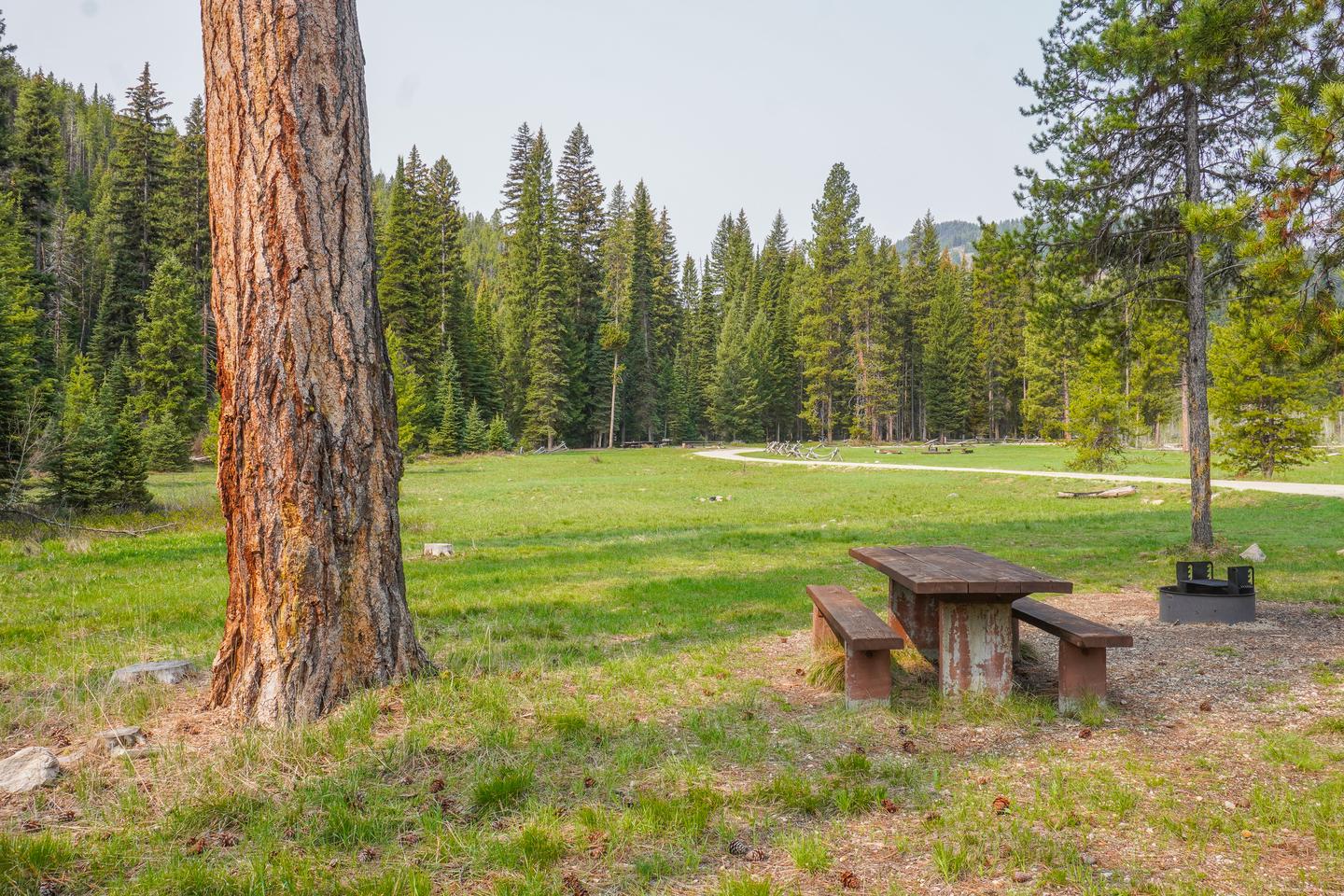 Fales Flats Horse Camp in Montana | Top Horse Trails