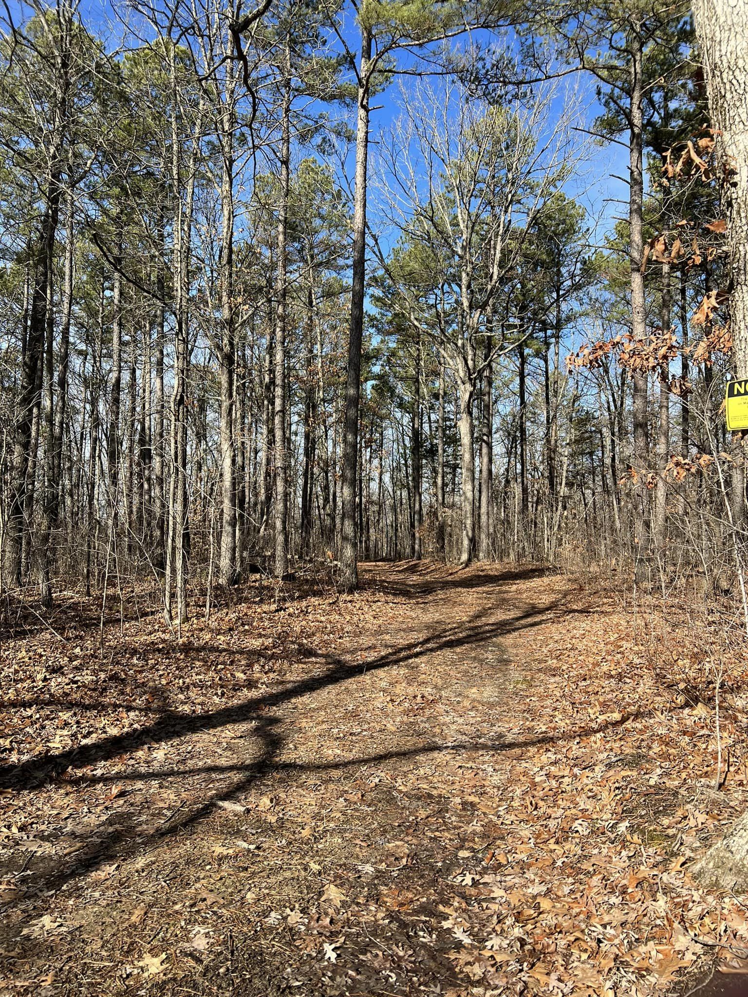 Hazel Creek Campground in Missouri | Top Horse Trails