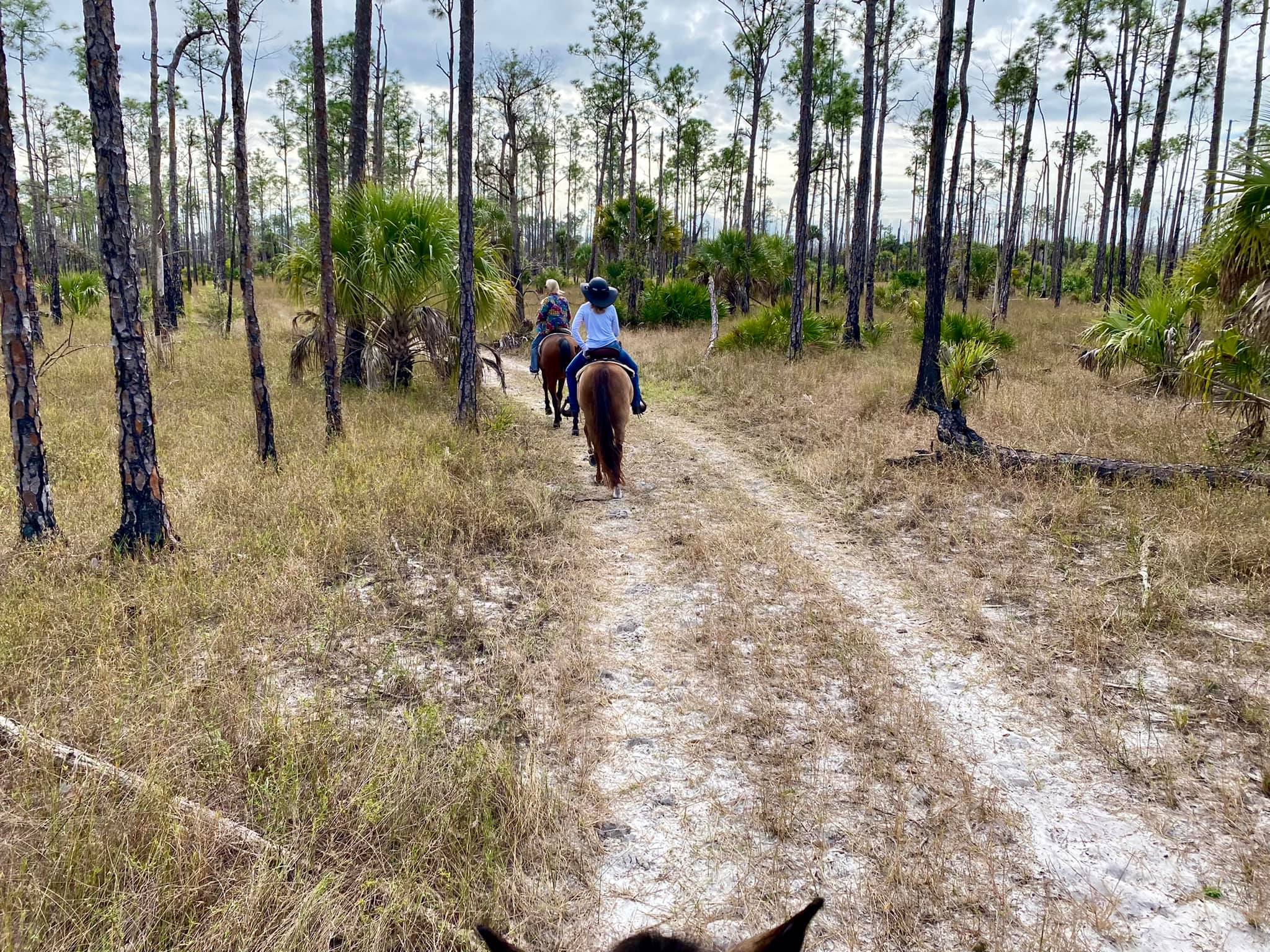 Triple V Ranch Horse Campsite in Naples, Florida | Top Horse Trails