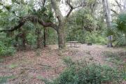 Charles H. Bronson State Forest in Florida | Top Horse Trails