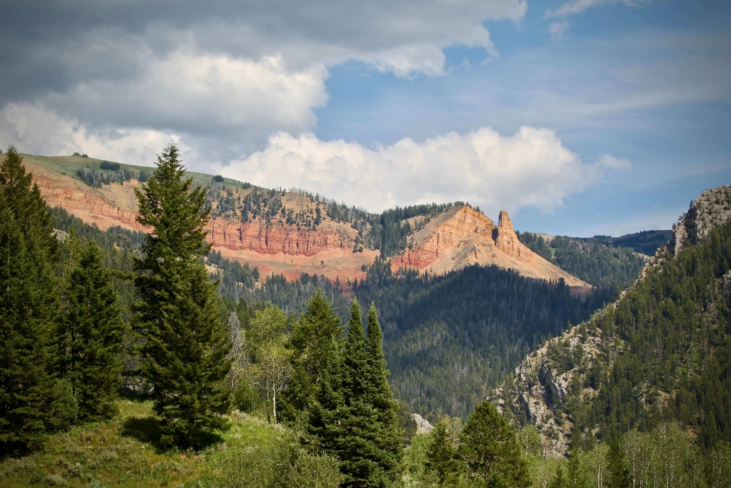 Willow Creek Trailhead Horse Campsite in Wyoming | Top Horse Trails