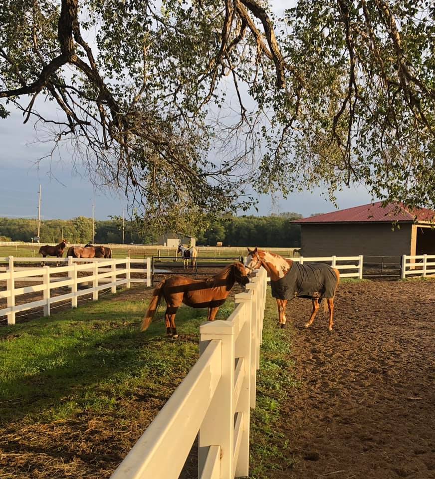 Red Roof Stable and Farm Horse Motel in Iowa | Top Horse Trails