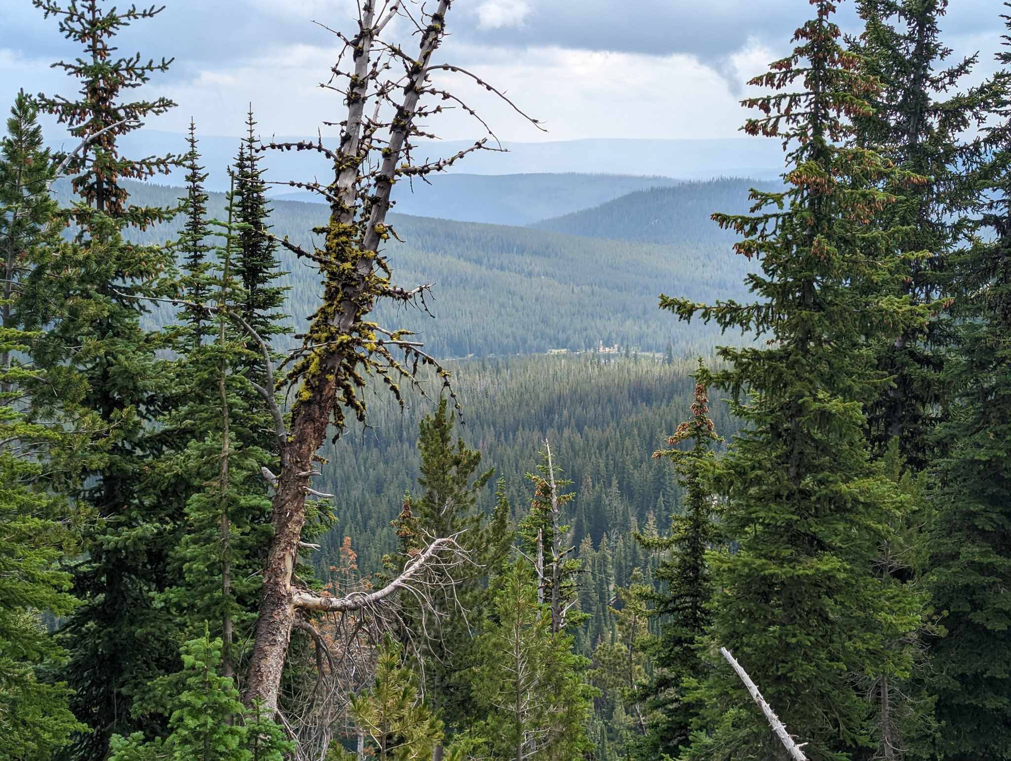 Sourdough Saddle Trailhead Horse Campsite in Idaho | Top Horse Trails