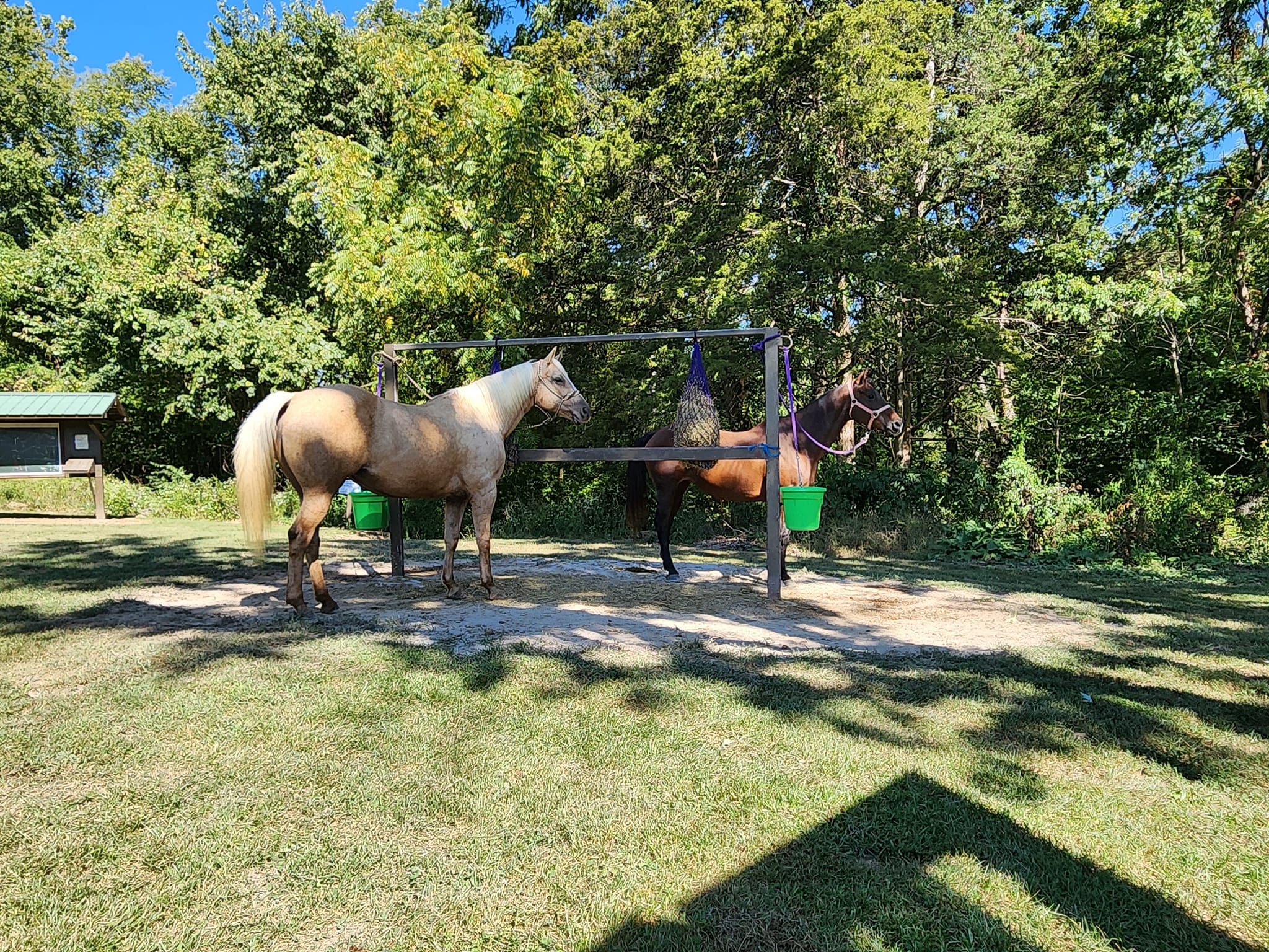 Siloam Springs State Park in Illinois | Top Horse Trails