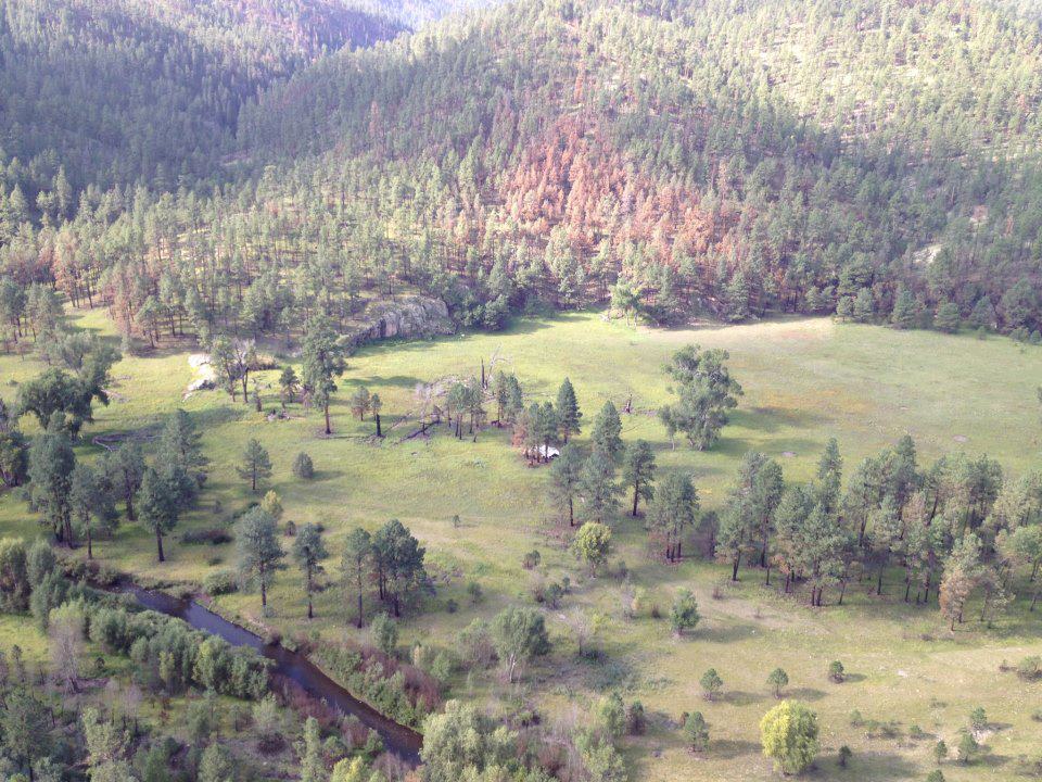 Aeroplane Mesa Campground in New Mexico | Top Horse Trails