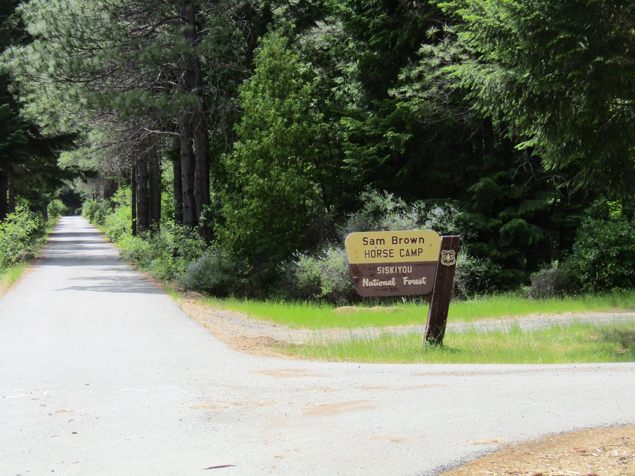 Sam Brown Horse Camp in Oregon | Top Horse Trails