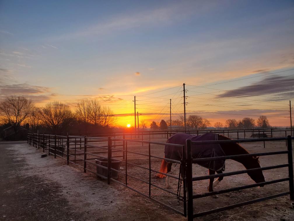 Phalen Equestrian Center Horse Hotel in Bonner Springs, Kansas