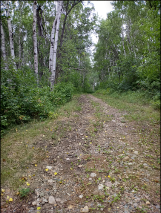 Twisted Oaks Equestrian Campground in North Dakota