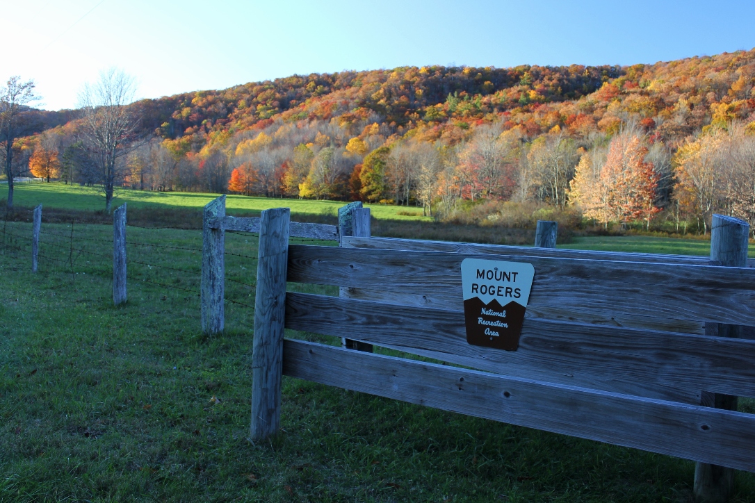 Fox Creek Horse Camp in Virginia | Top Horse Trails