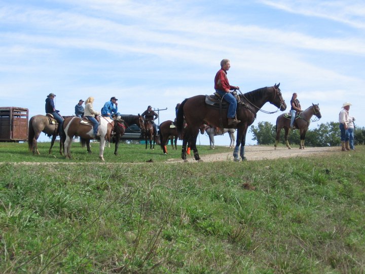 Farmlane Campground in Michigan | Top Horse Trails