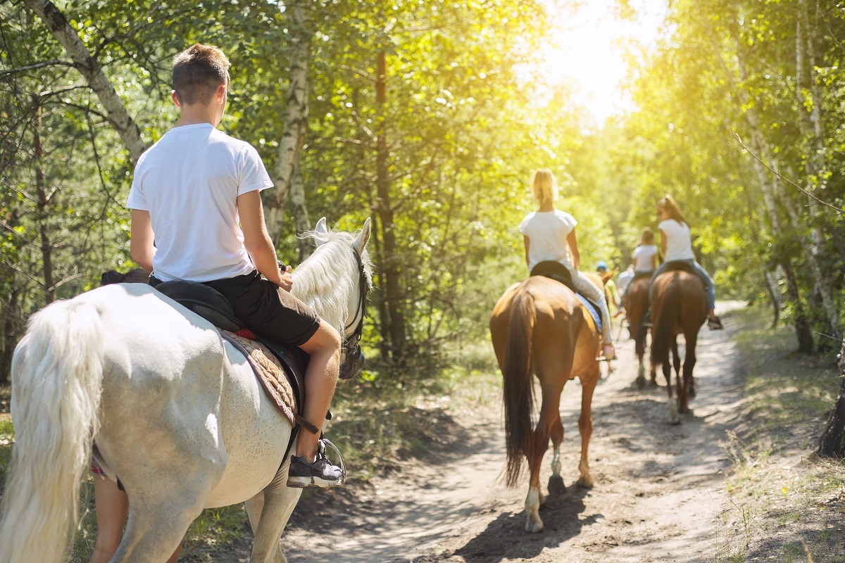 Bar Fifty Guest Ranch in Arkansas | Top Horse Trails