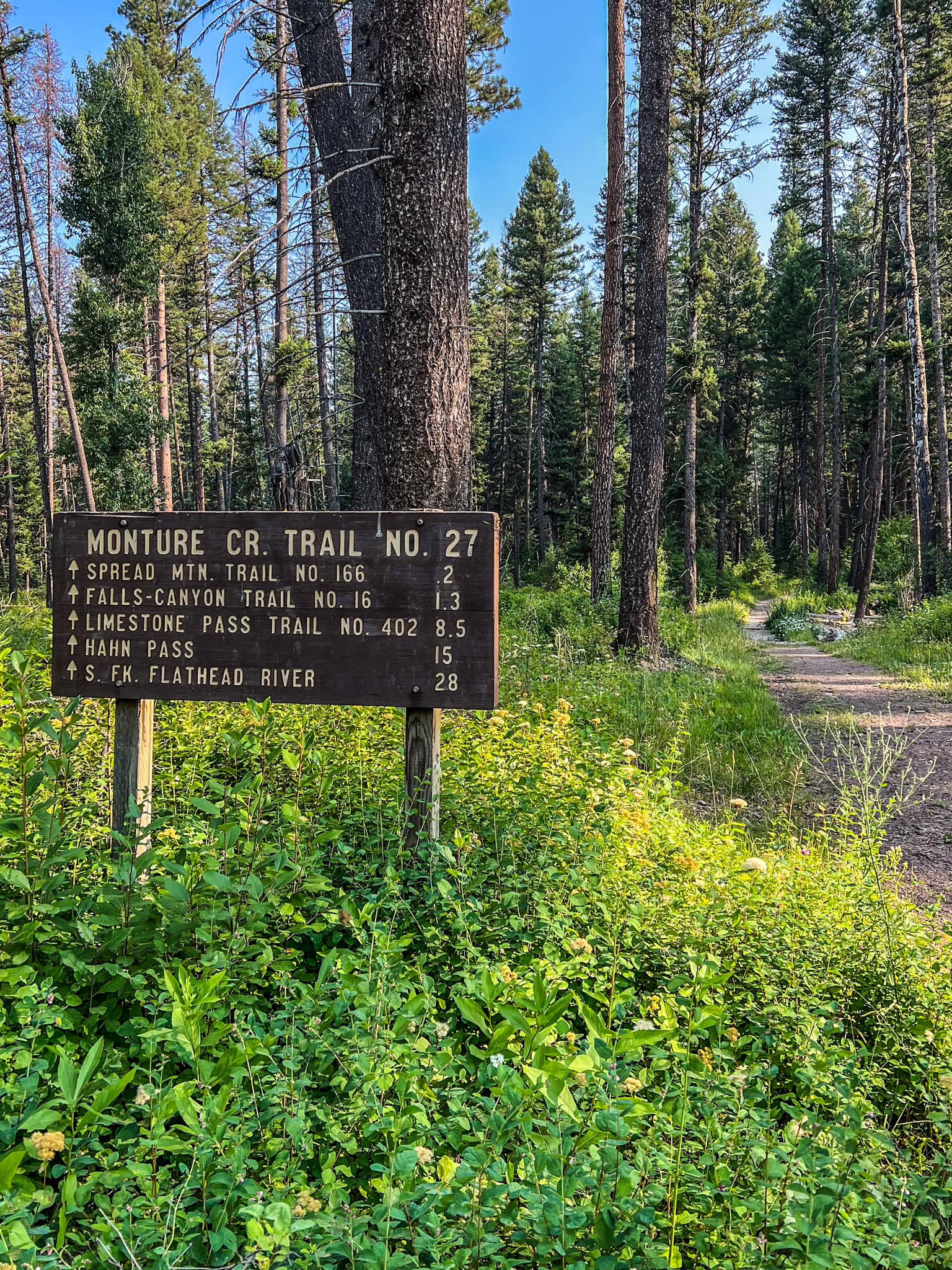 Monture Creek Campground in Montana | Top Horse Trails