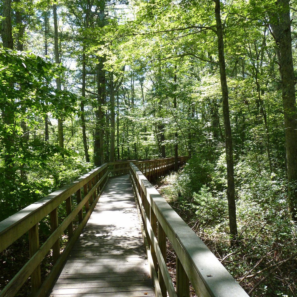 Arcadia Management Area in Rhode Island | Top Horse Trails