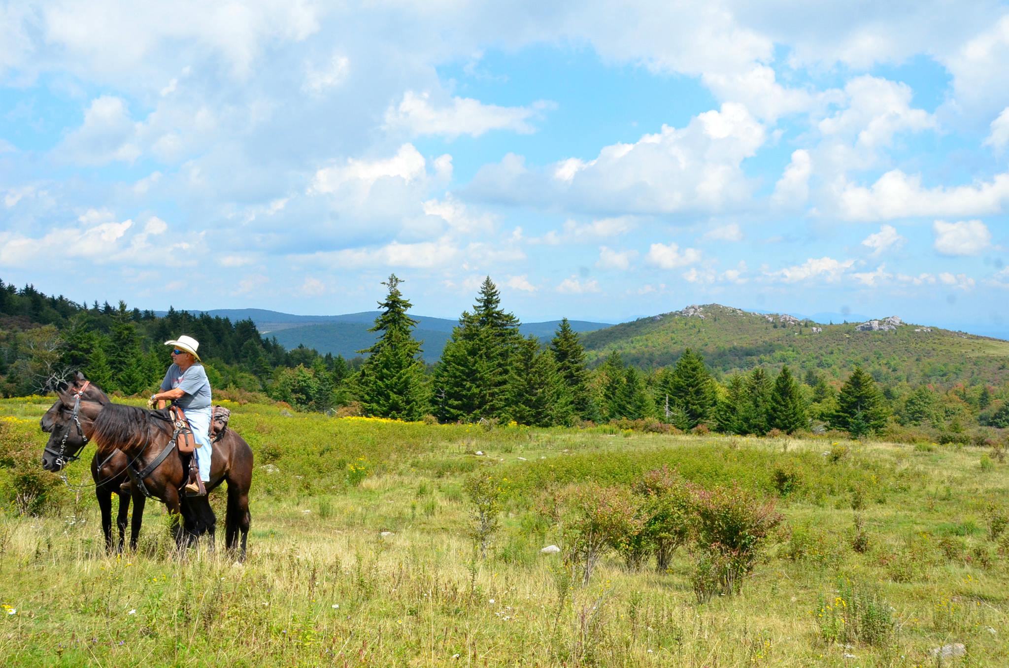 Occoneechee State Park Equestrian Campground in Virginia | Top Horse Trails