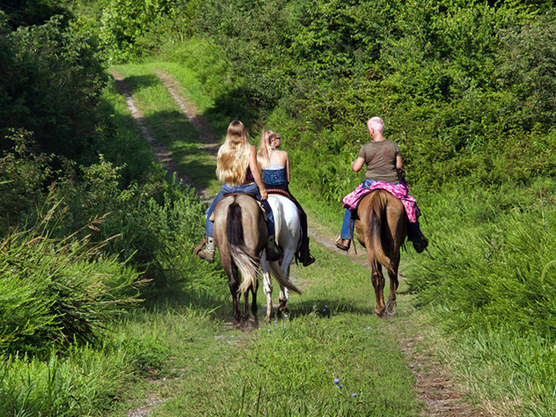 Taylorsville Lake Horse Camp in Kentucky | Top Horse Trails