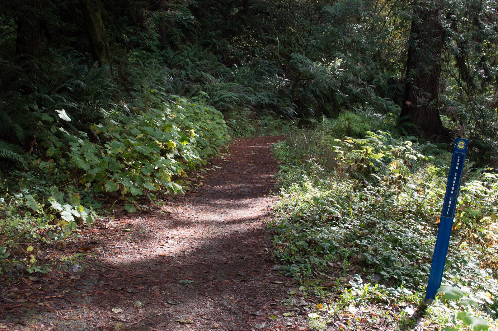 Russian Gulch Horse Camp in California | Top Horse Trails