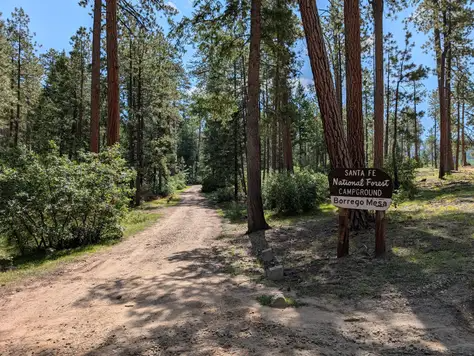 Borrego Mesa Campground in New Mexico | Top Horse Trails