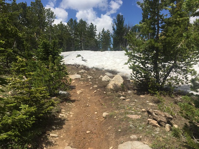 Roaring Fork Creek Trailhead in Wyoming | Top Horse Trails