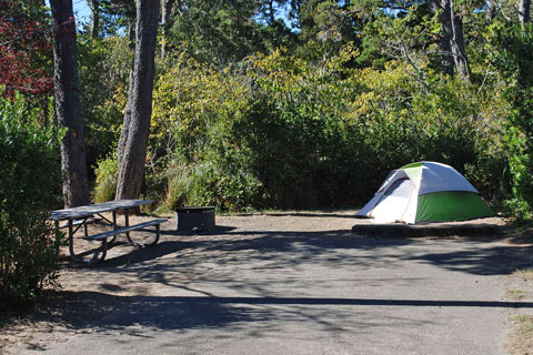 Bullards Beach State Park in Oregon | Top Horse Trails