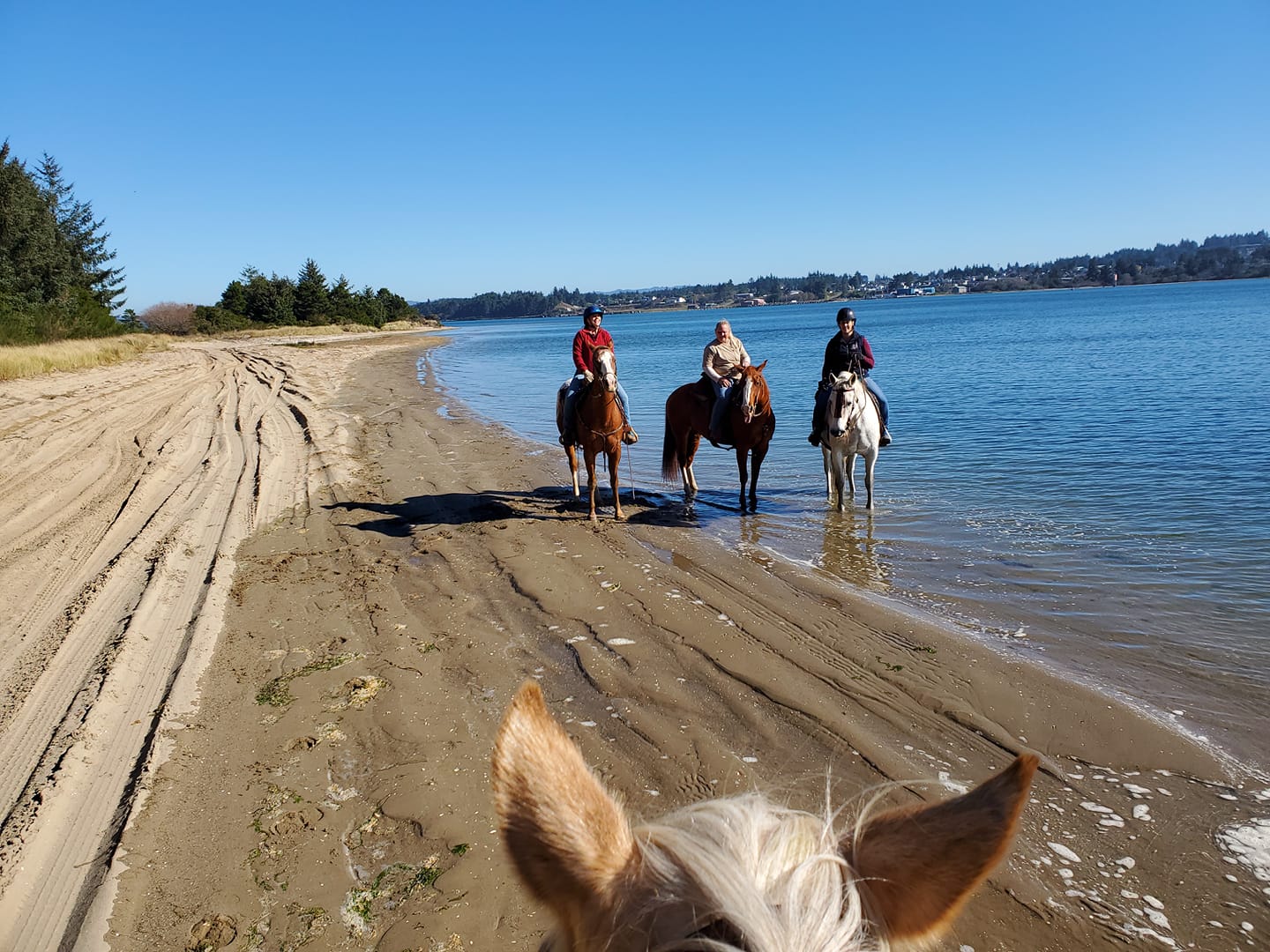 Wild Mare Campground in Oregon | Top Horse Trails