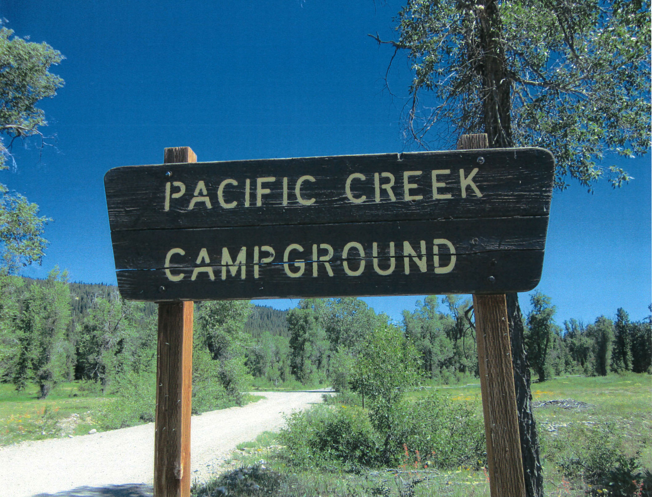 Pacific Creek Campground in Wyoming | Top Horse Trails