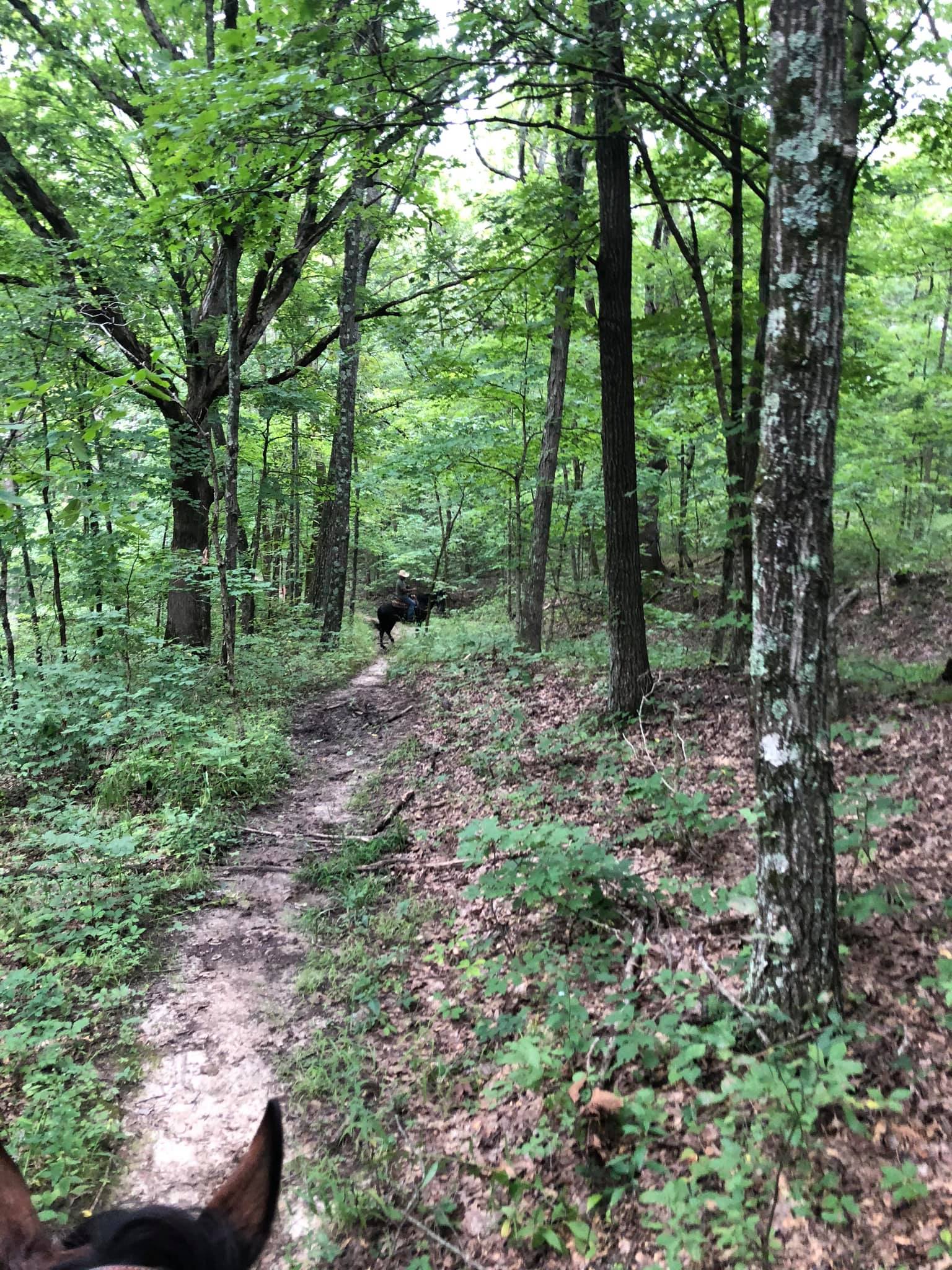 Dry Fork Recreational Area in Missouri | Top Horse Trails