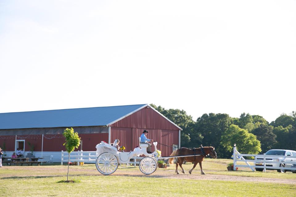 Faye Whittemore Campground in Alabama | Top Horse Trails