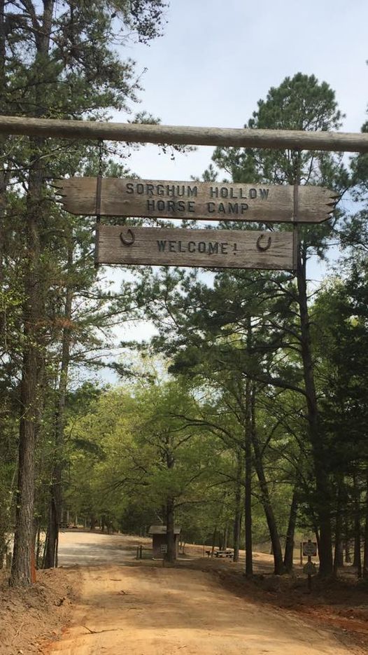 Sorghum Hollow Horse Camp in Arkansas