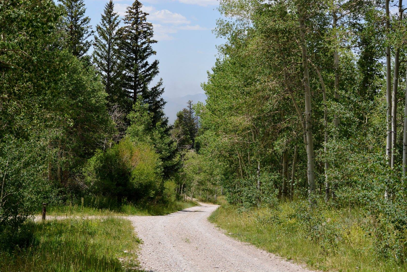 Timber Creek Campground in Nevada | Top Horse Trails