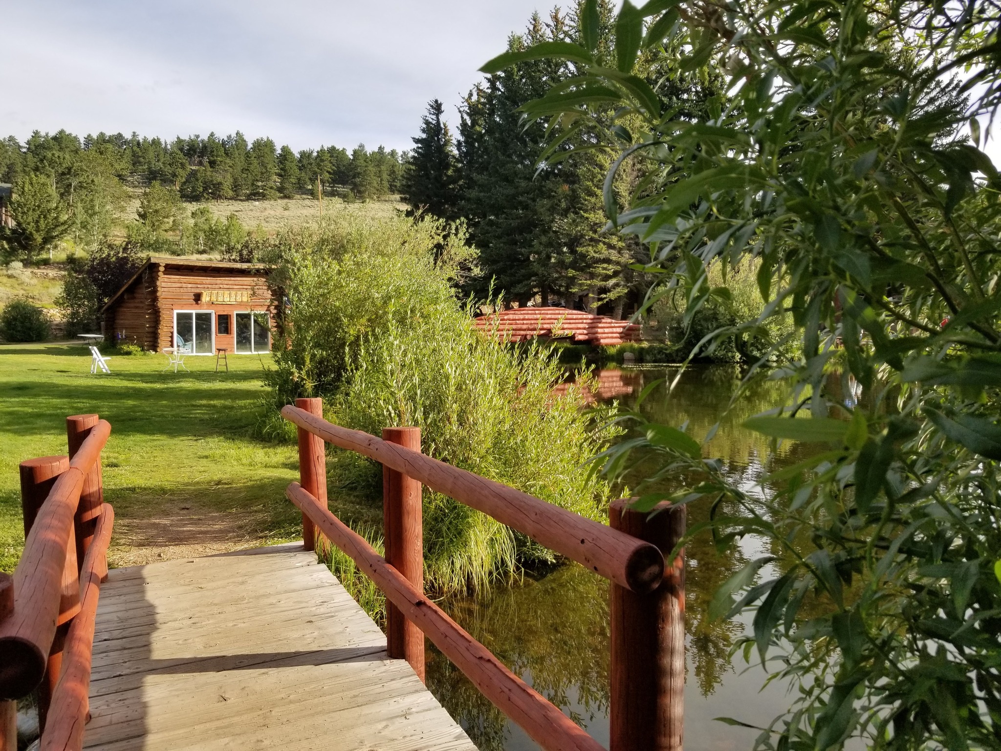 Beaver Meadows Camping in Colorado | Top Horse Trails