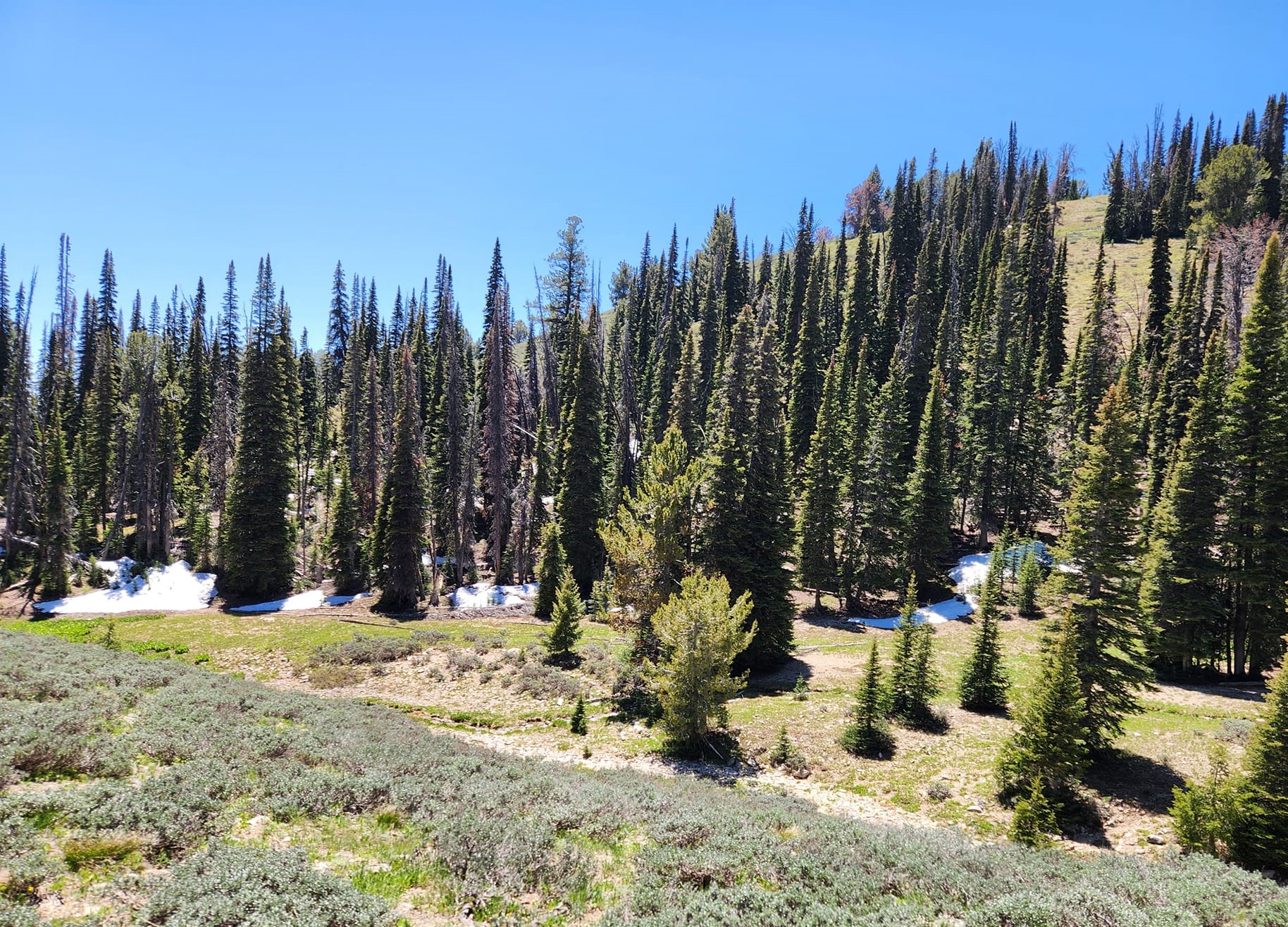 Canyon Transfer Camp in Idaho | Top Horse Trails