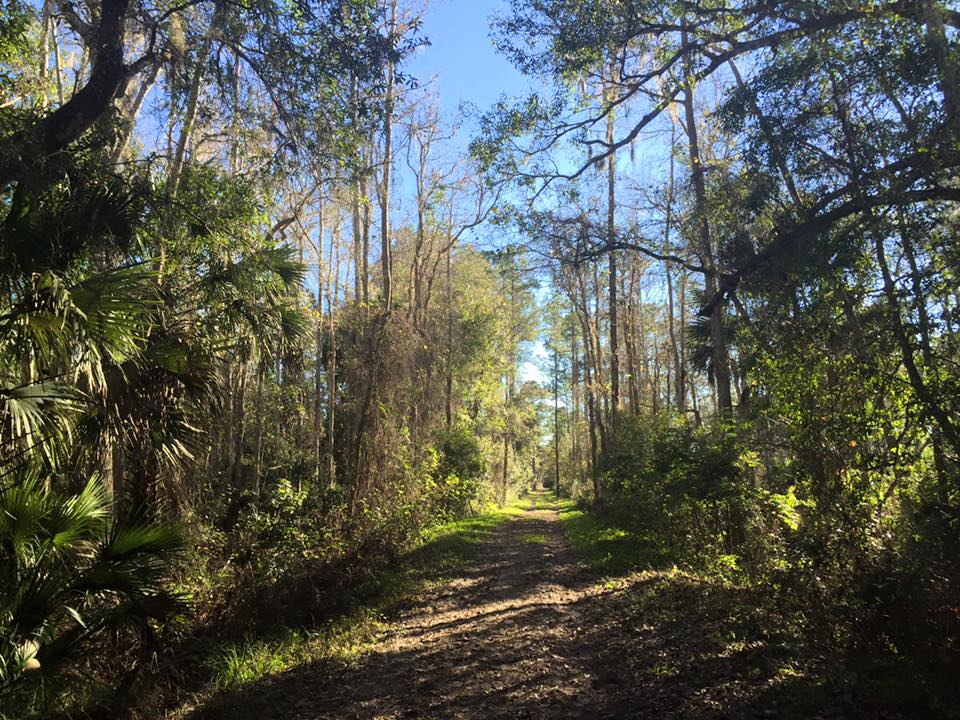 Palm Bluff Conservation Area in Florida | Top Horse Trails